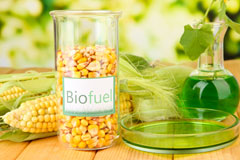 Llanddoged biofuel availability