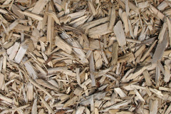 biomass boilers Llanddoged