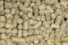Llanddoged biomass boiler costs